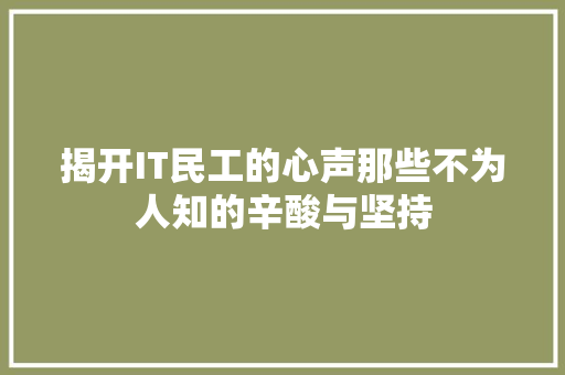 揭开IT民工的心声那些不为人知的辛酸与坚持 神马SEO