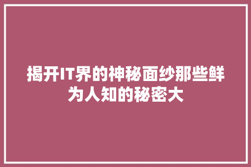 揭开IT界的神秘面纱那些鲜为人知的秘密大