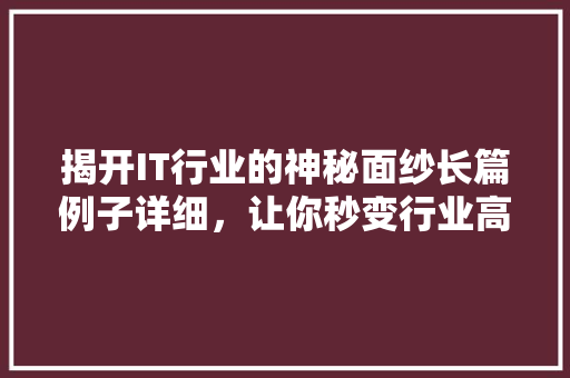 揭开IT行业的神秘面纱长篇例子详细，让你秒变行业高手！