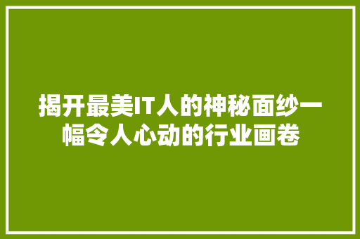揭开最美IT人的神秘面纱一幅令人心动的行业画卷 百度SEO