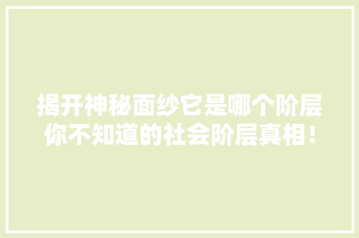 揭开神秘面纱它是哪个阶层你不知道的社会阶层真相！