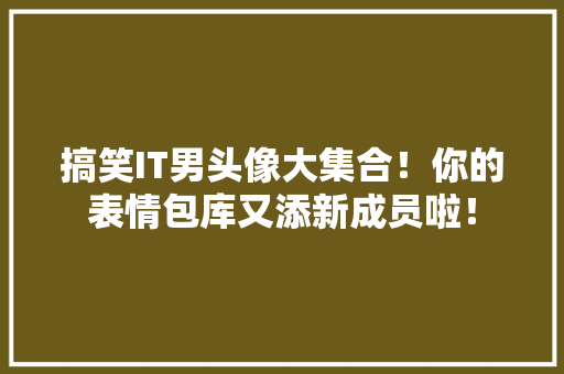 搞笑IT男头像大集合！你的表情包库又添新成员啦！
