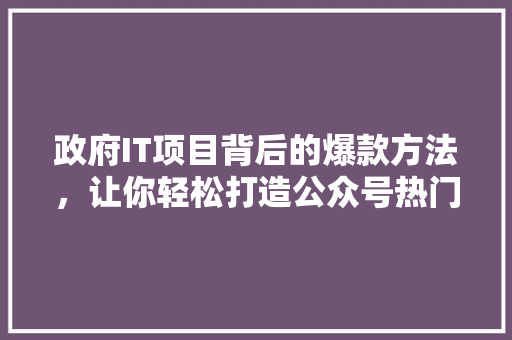 政府IT项目背后的爆款方法，让你轻松打造公众号热门内容！
