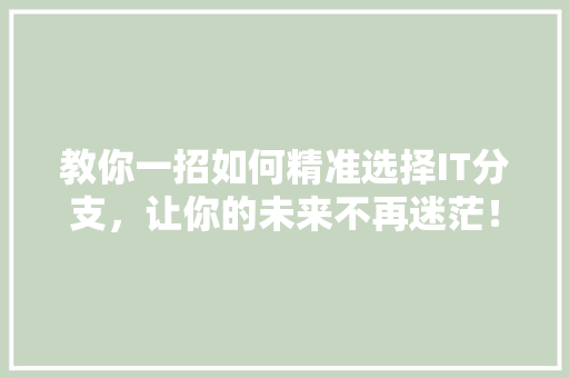 教你一招如何精准选择IT分支，让你的未来不再迷茫！