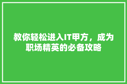 教你轻松进入IT甲方，成为职场精英的必备攻略