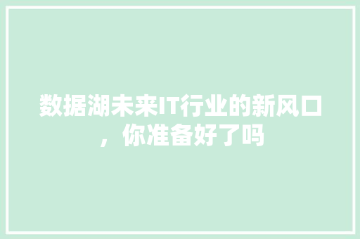 数据湖未来IT行业的新风口，你准备好了吗 必应SEO