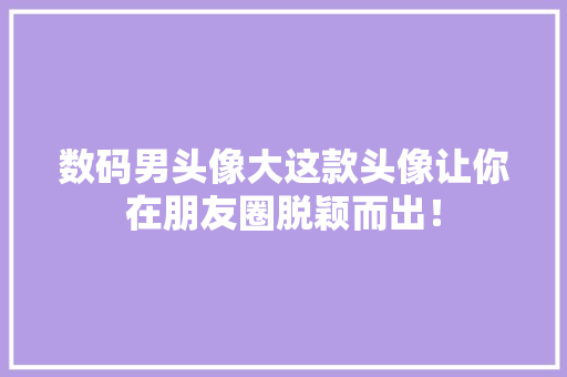 数码男头像大这款头像让你在朋友圈脱颖而出！