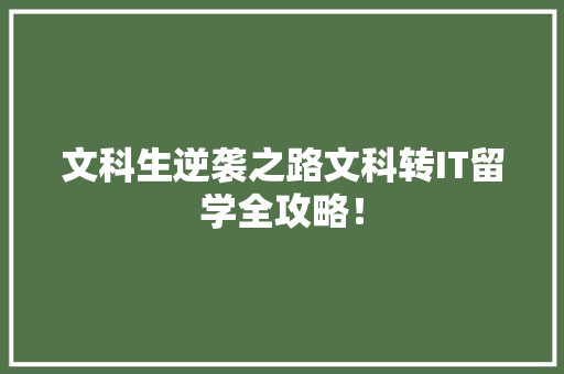 文科生逆袭之路文科转IT留学全攻略！