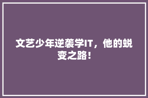 文艺少年逆袭学IT，他的蜕变之路！