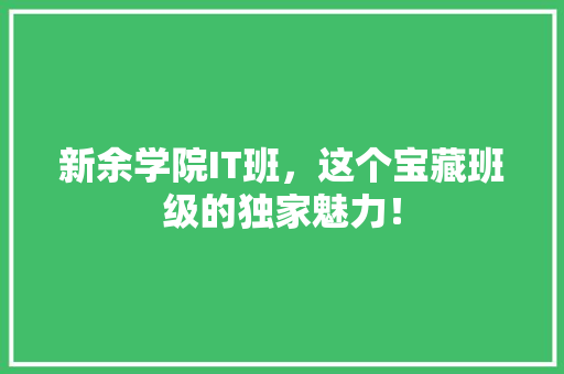新余学院IT班，这个宝藏班级的独家魅力！