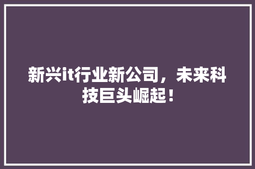 新兴it行业新公司，未来科技巨头崛起！