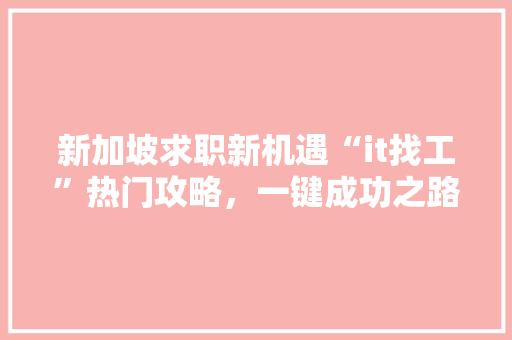 新加坡求职新机遇“it找工”热门攻略，一键成功之路！