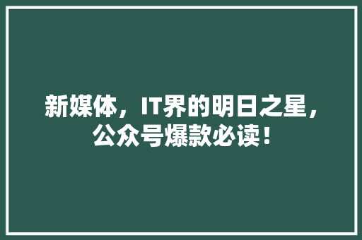 新媒体，IT界的明日之星，公众号爆款必读！
