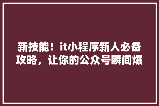 新技能！it小程序新人必备攻略，让你的公众号瞬间爆火！