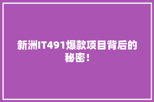 新洲IT491爆款项目背后的秘密！ 必应SEO