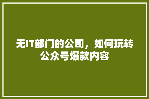 无IT部门的公司，如何玩转公众号爆款内容 搜狗SEO