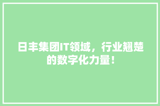 日丰集团IT领域，行业翘楚的数字化力量！
