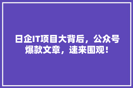 日企IT项目大背后，公众号爆款文章，速来围观！