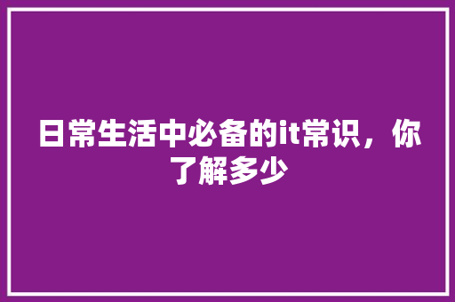 日常生活中必备的it常识，你了解多少 必应SEO