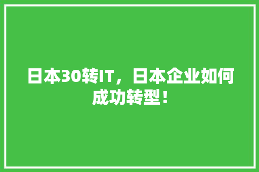 日本30转IT，日本企业如何成功转型！ 必应SEO