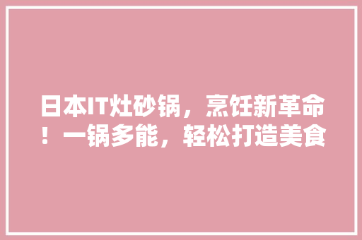 日本IT灶砂锅，烹饪新革命！一锅多能，轻松打造美食盛宴！