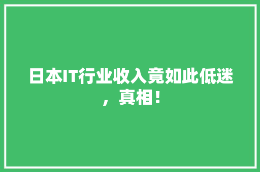 日本IT行业收入竟如此低迷，真相！