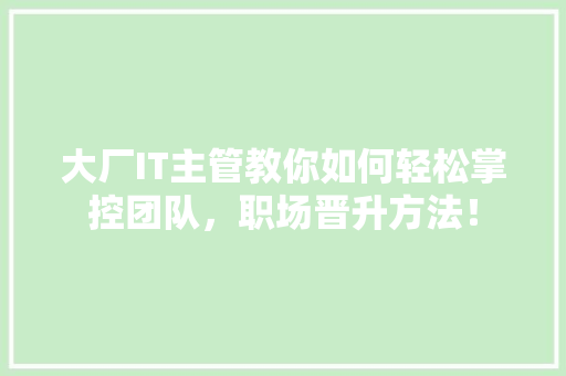 大厂IT主管教你如何轻松掌控团队，职场晋升方法！