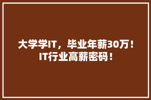 大学学IT，毕业年薪30万！IT行业高薪密码！