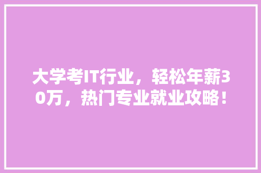 大学考IT行业，轻松年薪30万，热门专业就业攻略！
