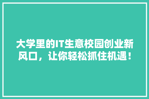 大学里的IT生意校园创业新风口，让你轻松抓住机遇！