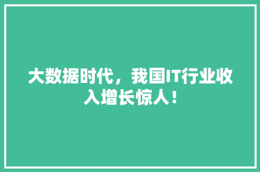大数据时代，我国IT行业收入增长惊人！