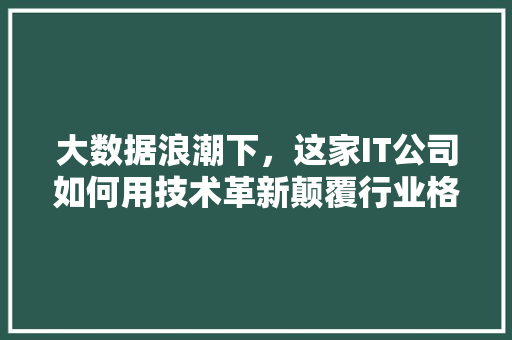 大数据浪潮下，这家IT公司如何用技术革新颠覆行业格局