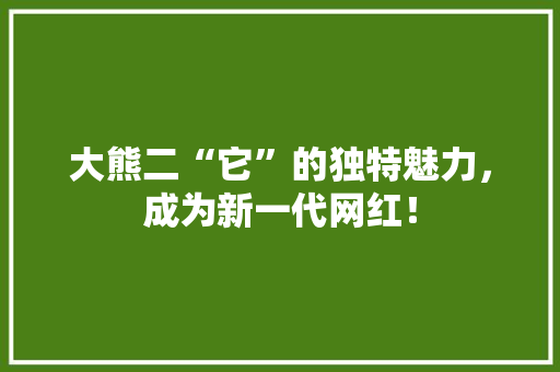 大熊二“它”的独特魅力，成为新一代网红！
