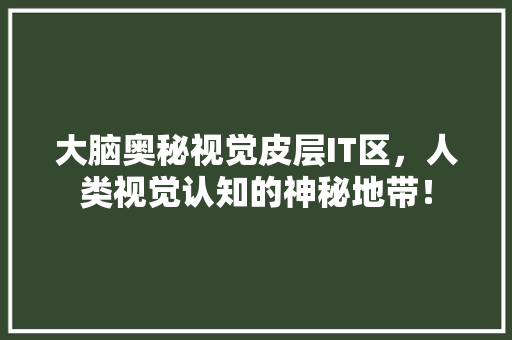 大脑奥秘视觉皮层IT区，人类视觉认知的神秘地带！