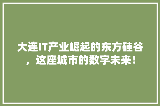 大连IT产业崛起的东方硅谷，这座城市的数字未来！ 必应SEO