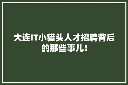 大连IT小猎头人才招聘背后的那些事儿！
