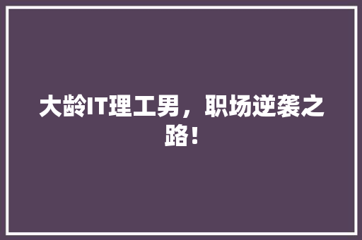 大龄IT理工男，职场逆袭之路！ 必应SEO
