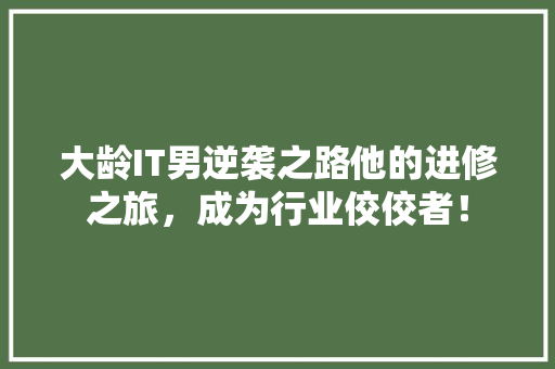 大龄IT男逆袭之路他的进修之旅，成为行业佼佼者！