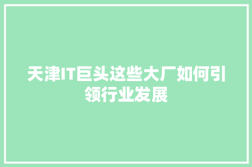 天津IT巨头这些大厂如何引领行业发展