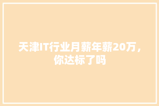 天津IT行业月薪年薪20万，你达标了吗
