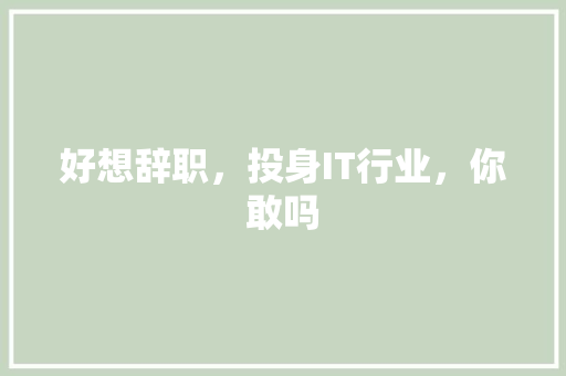 好想辞职，投身IT行业，你敢吗