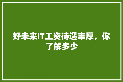 好未来IT工资待遇丰厚，你了解多少