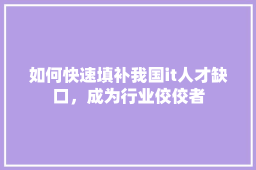如何快速填补我国it人才缺口，成为行业佼佼者