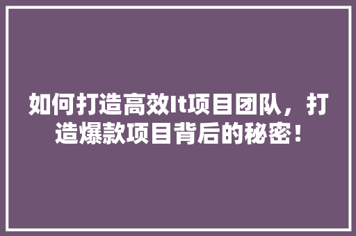 如何打造高效It项目团队，打造爆款项目背后的秘密！
