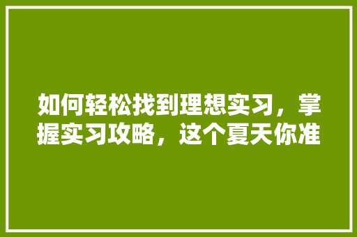 如何轻松找到理想实习，掌握实习攻略，这个夏天你准备好了吗