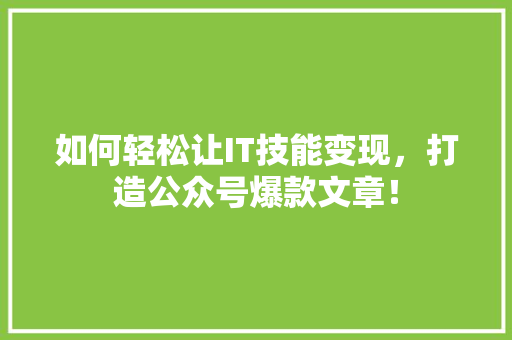 如何轻松让IT技能变现，打造公众号爆款文章！ 必应SEO