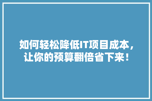 如何轻松降低IT项目成本，让你的预算翻倍省下来！ 必应SEO
