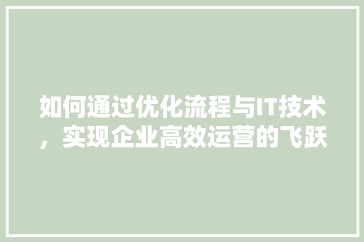 如何通过优化流程与IT技术，实现企业高效运营的飞跃 必应SEO