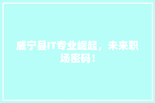 威宁县IT专业崛起，未来职场密码！ 必应SEO