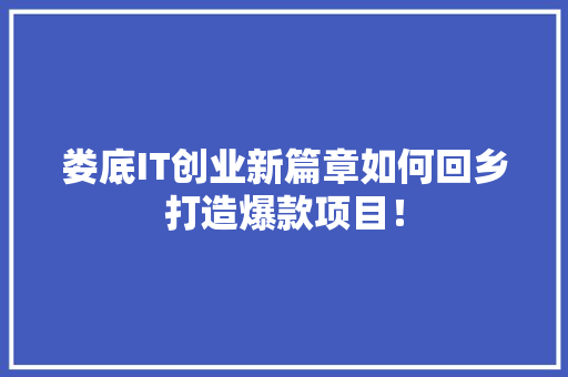 娄底IT创业新篇章如何回乡打造爆款项目！